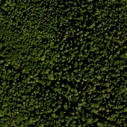Satellite imagery of Hohberg, DE
