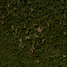 Satellite imagery of Brückenberg, DE