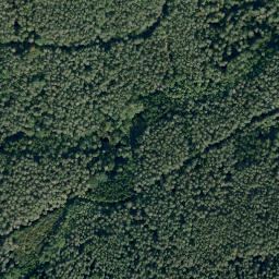 Satellite imagery of Eichberg, DE