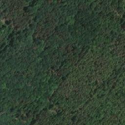 Satellite imagery of (Farský les) [Blšany-Soběchleby], CZ