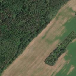 Satellite imagery of (Farský les) [Blšany-Soběchleby], CZ