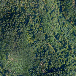 Satellite imagery of Schloß Schöneck, DE