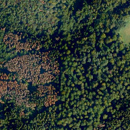 Satellite imagery of Molsberger Kopf, DE