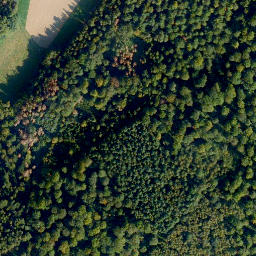 Satellite imagery of Molsberger Kopf, DE