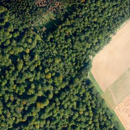 Satellite imagery of Molsberger Kopf, DE