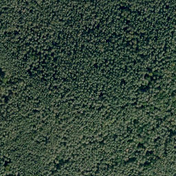 Satellite imagery of Eichberg, DE