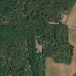 Satellite imagery of (Farský les) [Blšany-Soběchleby], CZ