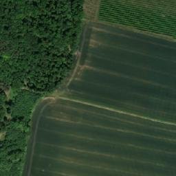 Satellite imagery of Kozí kopec [Libčany-Želí], CZ