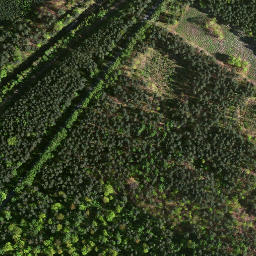 Satellite imagery of survey_point, PL