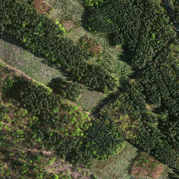 Satellite imagery of survey_point, PL
