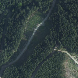 Satellite imagery of Lloyd Point, CA