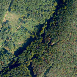 Satellite imagery of Gras-Kopf, DE