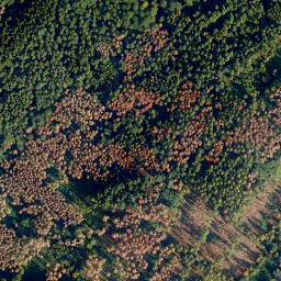 Satellite imagery of Molsberger Kopf, DE