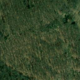 Satellite imagery of Wolfskopf, DE