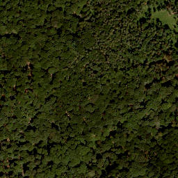 Satellite imagery of Nußhügel, DE