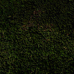 Satellite imagery of Sandberg, DE