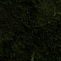 Satellite imagery of Sandberg, DE