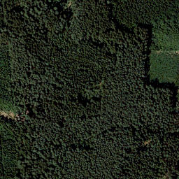 Satellite imagery of Eichenbühl, DE