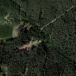 Satellite imagery of Eichenbühl, DE