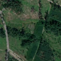 Satelita