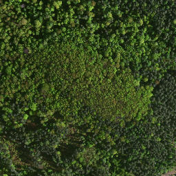 Satellite imagery of survey_point, PL