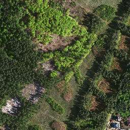 Satellite imagery of survey_point, PL