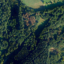 Satellite imagery of Schloß Schöneck, DE