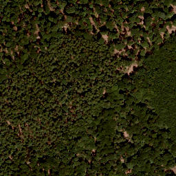 Satellite imagery of Nußhügel, DE