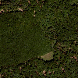 Satellite imagery of Nußhügel, DE