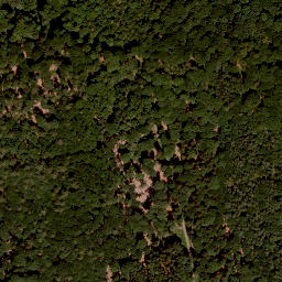 Satellite imagery of Nußhügel, DE