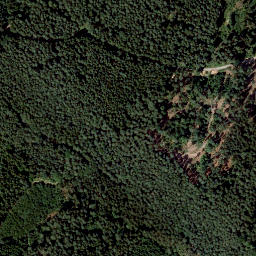 Satellite imagery of Eichenbühl, DE