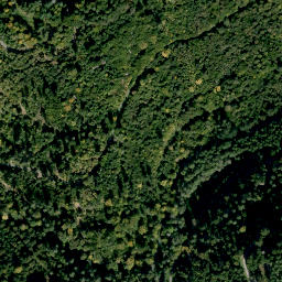 Satellite imagery of Altenberg, DE