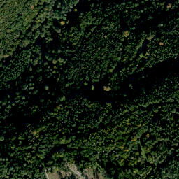 Satellite imagery of Altenberg, DE