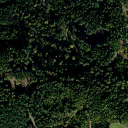 Satellite imagery of Altenberg, DE