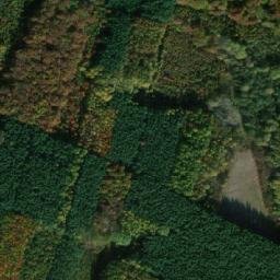 Satellite imagery of Kostelíček [Městec Králové], CZ