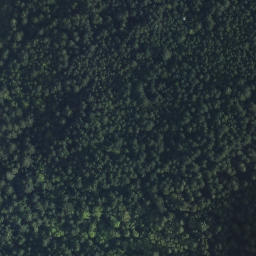 Satellite imagery of Lloyd Point, CA