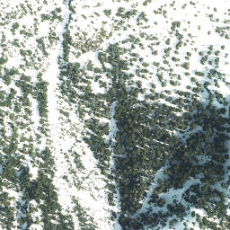 Satellite imagery of Mount Crawshay, CA