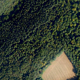 Satellite imagery of Horstberg, DE