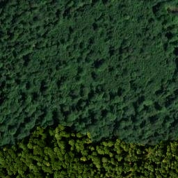 Satellite imagery of Beilberg, DE