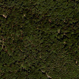 Satellite imagery of Nassacher Höhe, DE