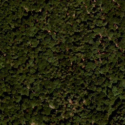 Satellite imagery of Nußhügel, DE