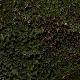 Satellite imagery of Nußhügel, DE