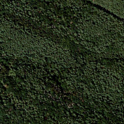 Satellite imagery of Schrotleiten, DE