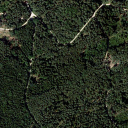 Satellite imagery of Hohe Aßlitz, DE