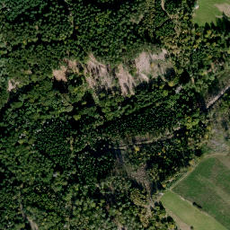 Satellite imagery of Altenberg, DE