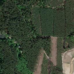 Satellite imagery of (Velký Chobot) [Běleč nad Orlicí], CZ