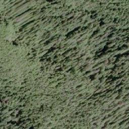 Satellite imagery of Saxifraga Mountain, CA