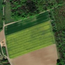 Satellite imagery of Wachenbuchen, DE