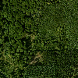 Satellite imagery of Beilberg, DE