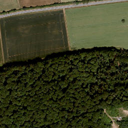 Satellite imagery of Mühlberg, DE